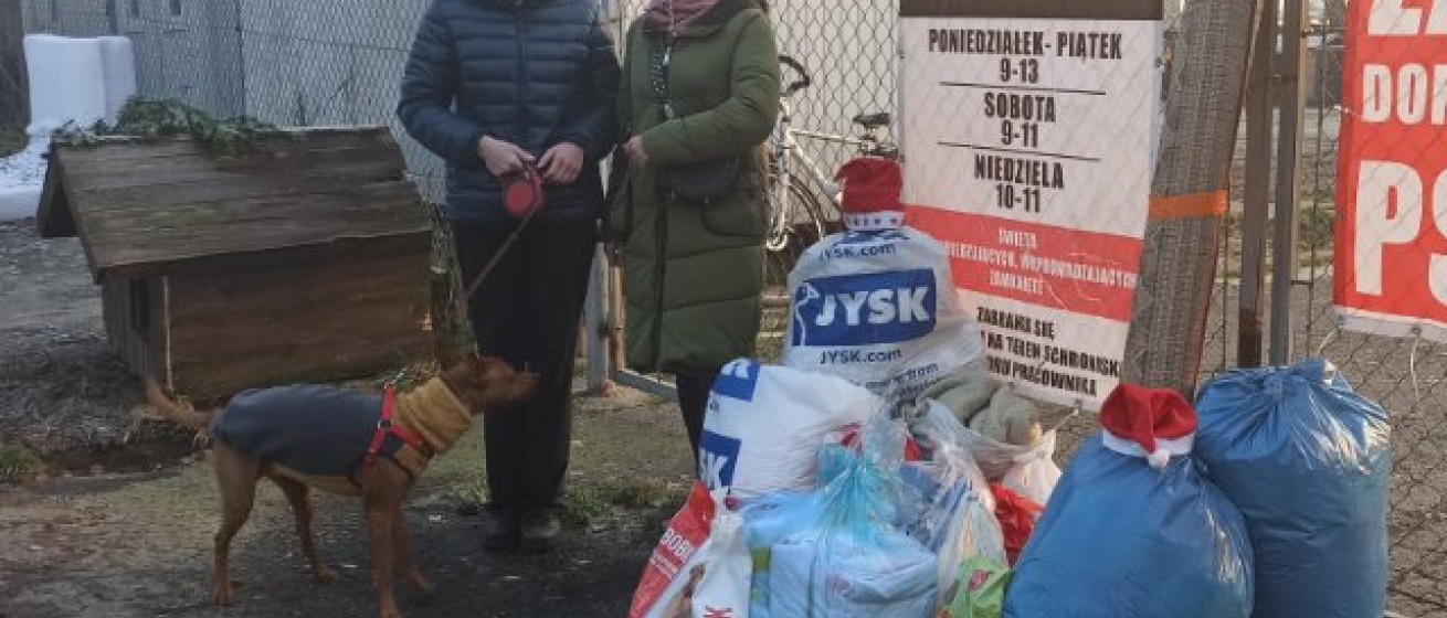 Mikołaj ze Słowiańskiej u psiaków w brzeskim schronisku!