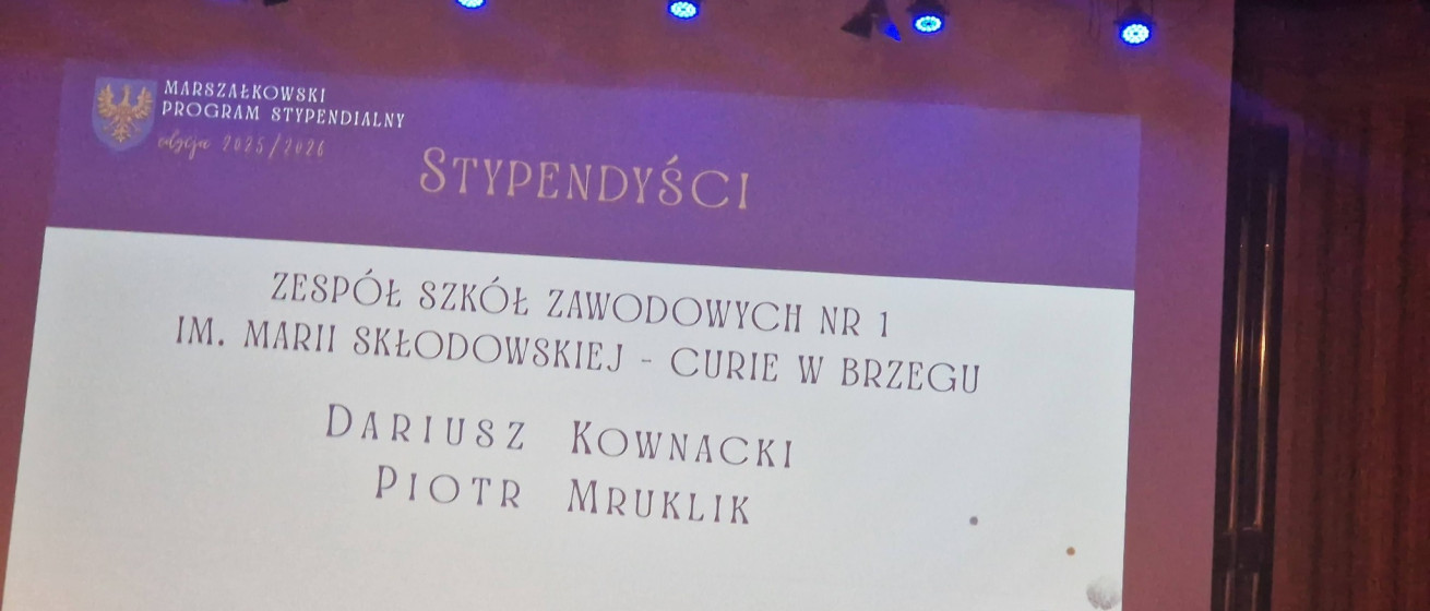 Stypendia Marszałka Województwa Opolskiego