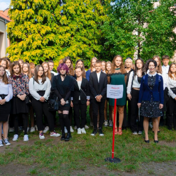 304553223_513364084122989_7387957953763181995_n