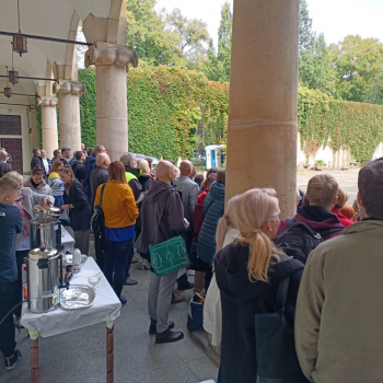 306950375_532752985517432_1273323041567047003_n