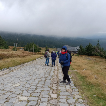 WhatsApp Image 2022-10-04 at 13.02.00 (2)