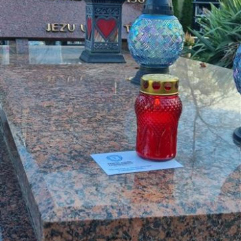 c09f3e8d-1bed-4d60-bc5a-a39bdc9e0381 (1)