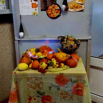 317095531_593845789408151_6126943670854059894_n