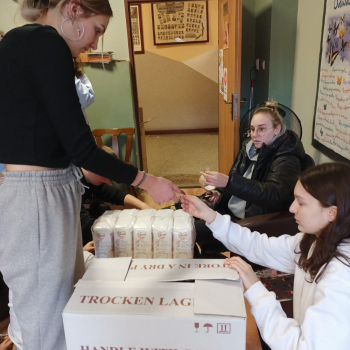 320932186_529854179099215_7627196718581493372_n