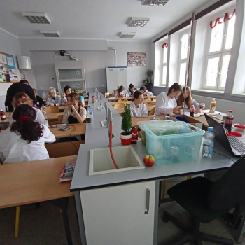 320985337_692482572527570_609173497734089116_n