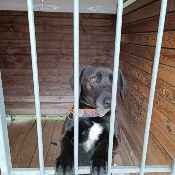 319309709_604154345043962_5074745373819252327_n