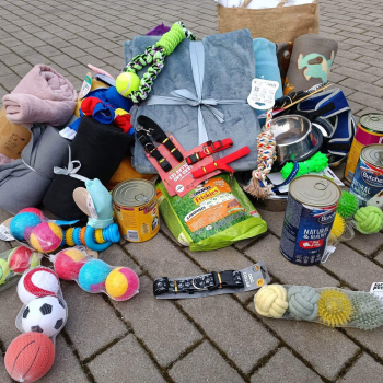 318432645_604154641710599_5337979402652351414_n