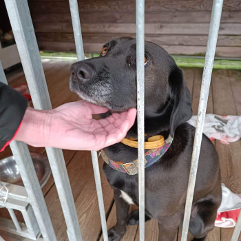 318778407_604154795043917_1080170766809823359_n