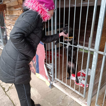 318936657_604154731710590_3537482181876504193_n