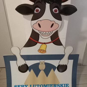 324428342_914251322931341_5516178062521989762_n