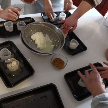 324928796_561097019274437_8608873258014304390_n