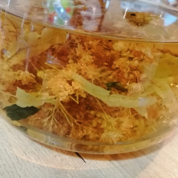 325390390_858836318506945_3814339412979058539_n