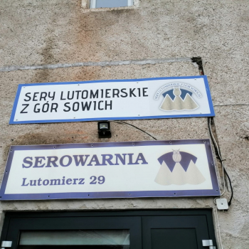 326073412_575314654099129_7158261535780983929_n