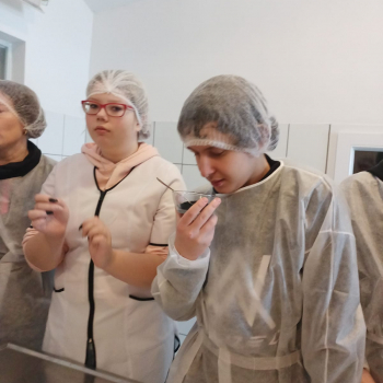 327430865_567181582000672_8135977672712737251_n