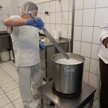 324438528_545138634314337_5143203875862696103_n