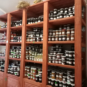 324743464_663317642239157_2452386092040634168_n