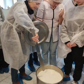 325494351_892854985241845_1082564516492651345_n