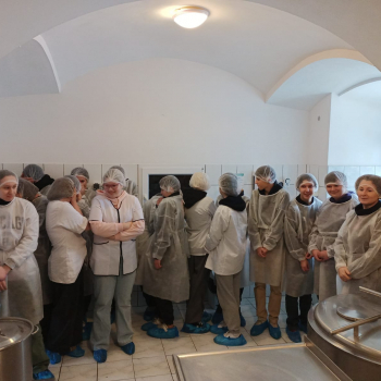 325604154_1223053408589386_364018716933666153_n