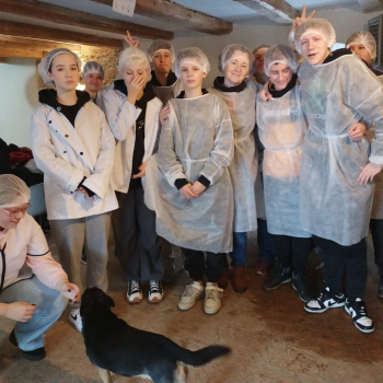 325948013_848042579606411_1097922758568132935_n