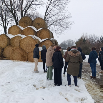 326199972_988491535646626_1199393205021729732_n