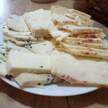 327025933_1403017923568892_6447338487172554809_n