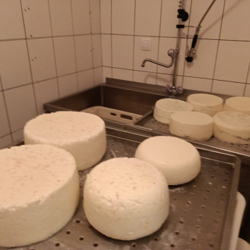 327280917_2393656330798861_5073074994128019110_n