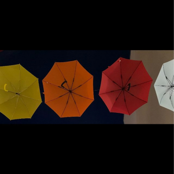 327153668_1252895848911750_6202131721915167299_n