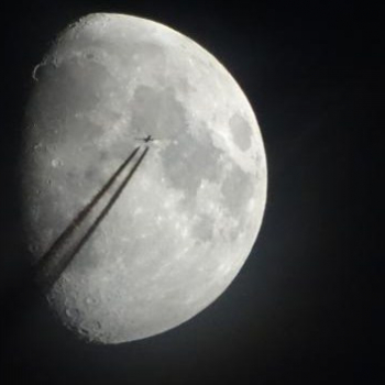 327164667_1951327385219038_360745827179335996_n