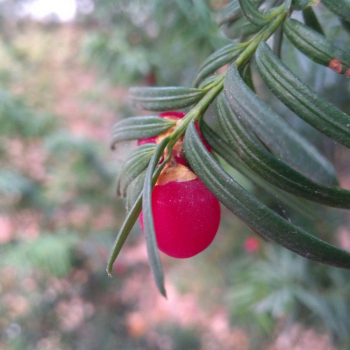 327279986_1086387432755582_379387646527791190_n