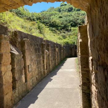 327411692_926814244978937_931364097448380418_n