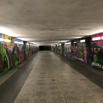 327423040_533448015430027_3097769847087196835_n