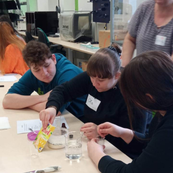 337508002_745143620491825_2581451871369219201_n