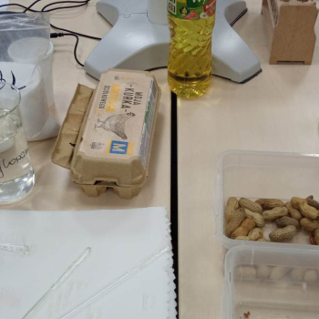 336912897_160278496920172_8809662485887281128_n