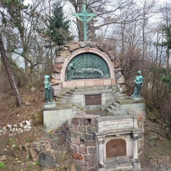 337538341_908701973668250_7614815800607086138_n