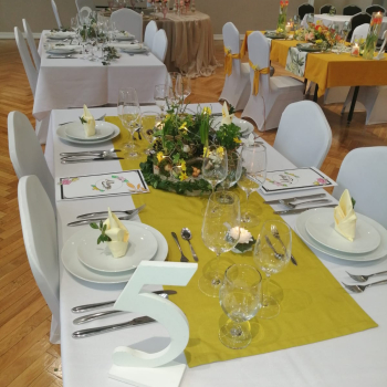 338558602_1363927651071301_934315881485814900_n