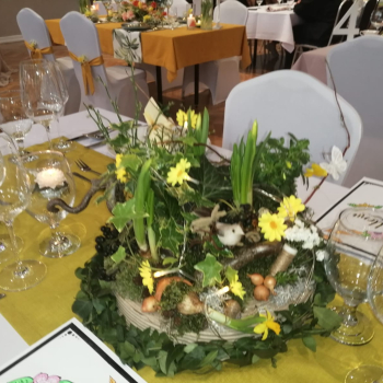 338509128_183922117738346_418735654222821418_n