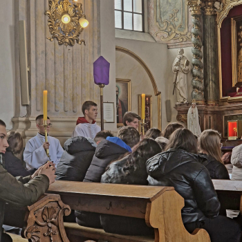 338949519_530890255869411_4809226917792069491_n