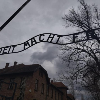 339155678_1241784746758064_5450458433762740402_n