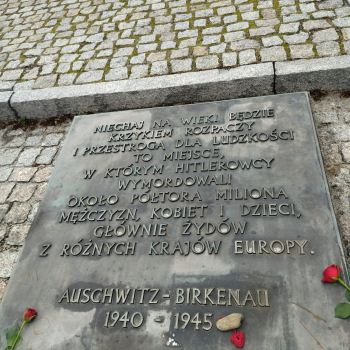 339263317_216476397726704_2475864887412808267_n