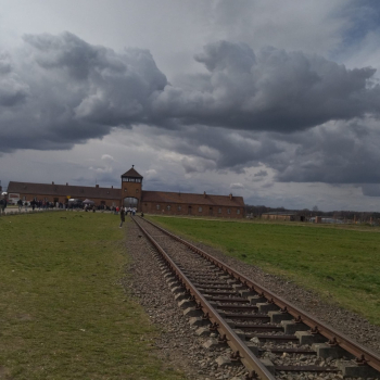 339268919_922697082306712_1171012938543336406_n