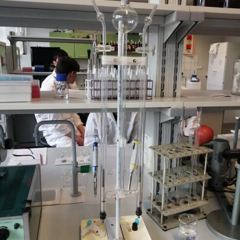 396102624_839292534863474_1197680502775794143_n