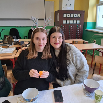 410923275_877145514411509_3381110963203753783_n