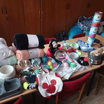 406856545_867205642072163_1360777631888340863_n