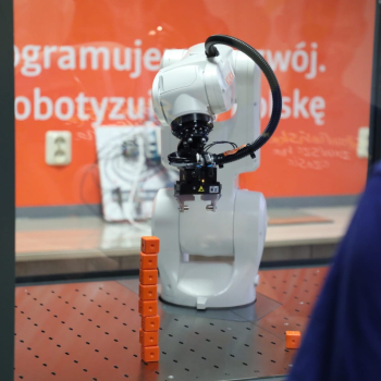 409093973_924409946351732_6310738854220107916_n