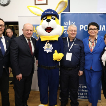 429584076_924403753019018_4628945227061591201_n