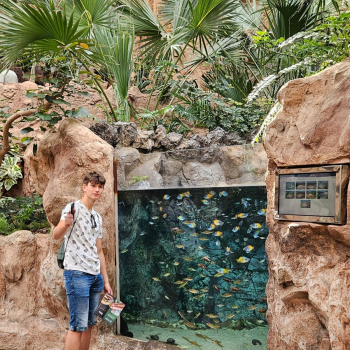 438197997_970192445106815_8879932116409838765_n