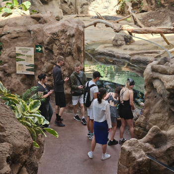 438222196_970191905106869_637569441235642782_n