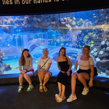 438260351_970192385106821_5644843224388897831_n