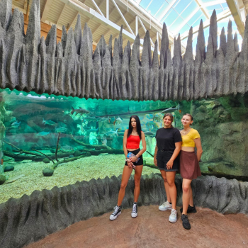 438302230_970191845106875_4516362059409063865_n