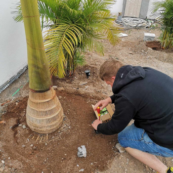 438302626_974160171376709_5464566870076008352_n